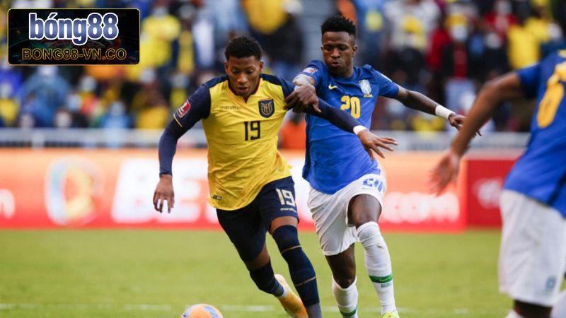 Nhận định kèo chấp trong trận Ecuador - Brazil